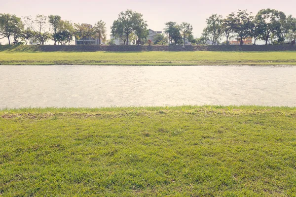 River flowes green meadow land under sunny day — Stock Photo, Image