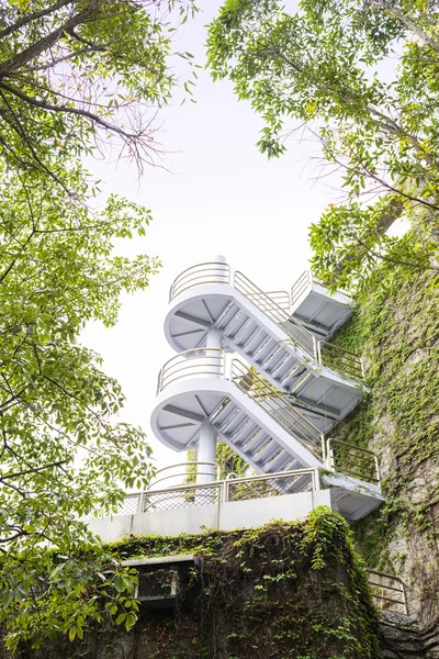 Modern Winding Staircases on Vine Covered Exterior Walls of Buil — Stock Photo, Image