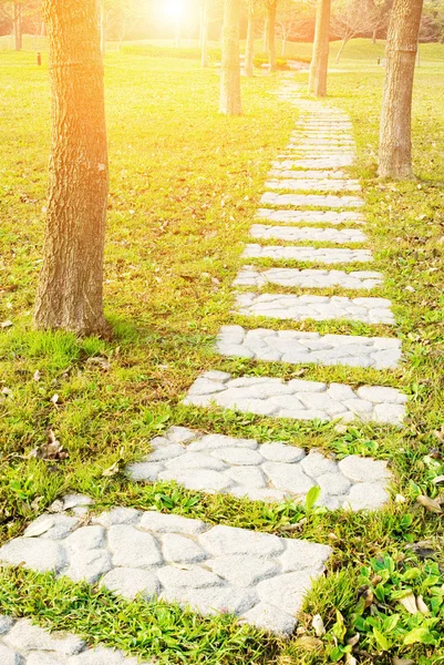 Stone walkway into forest — Stock Photo, Image