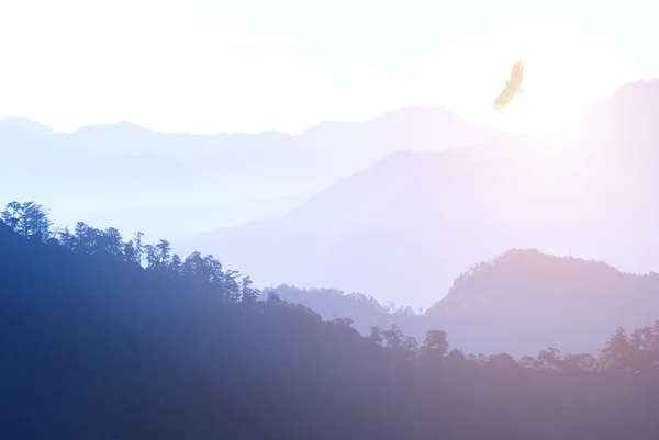 Montagna nella nebbia del mattino — Foto Stock