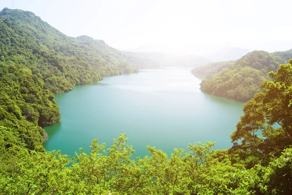 Huzurlu lake surround ormanlar ve dağlar — Stok fotoğraf