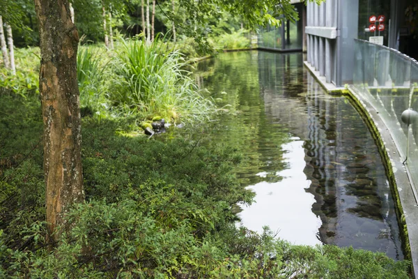 Landschapstuin van water door modern gebouw. — Stockfoto