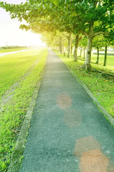 Straight deserted tree lined path receding into the distance thr — Stock Photo, Image