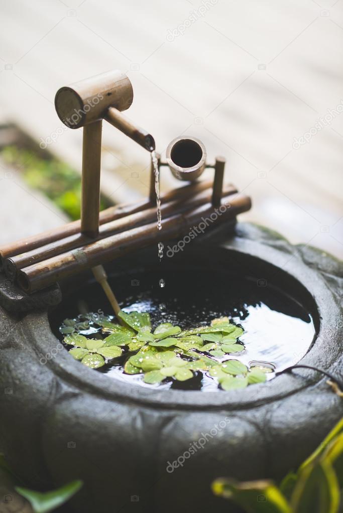 Mini garden water fall and pond with green plants. — Stock Photo © Ansonde 96084704