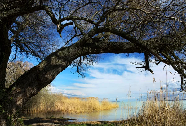 Landscape Lake Balaton Hungary — Stock Photo, Image