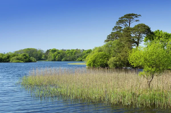 Lough Leane en Irlande — Photo