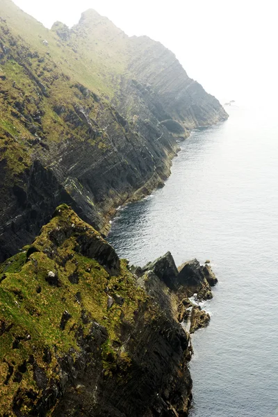 ケリー、アイルランドの崖 — ストック写真