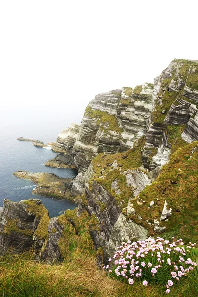 Cliffs of Kerry, Ireland — Stock Photo, Image