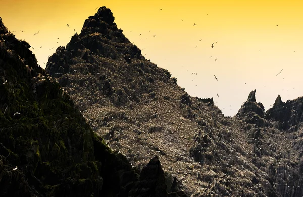 Skellig Michael, patrimonio mondiale dell'UNESCO, Kerry, Irlanda — Foto Stock