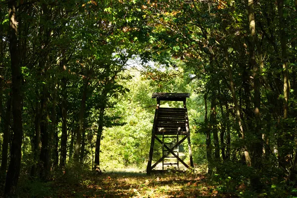 Puesto Cazador Bosque Otoño — Foto de Stock