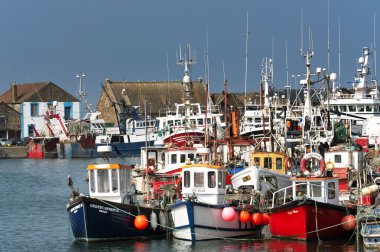 Balıkçı tekneleri Howth Harbor, Howth (Dublin)