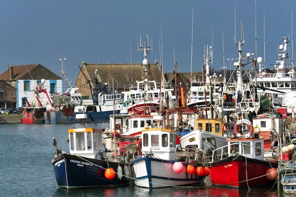 Fishing boats in Howth harbor, Howth ( Dublin) — Stock Photo, Image