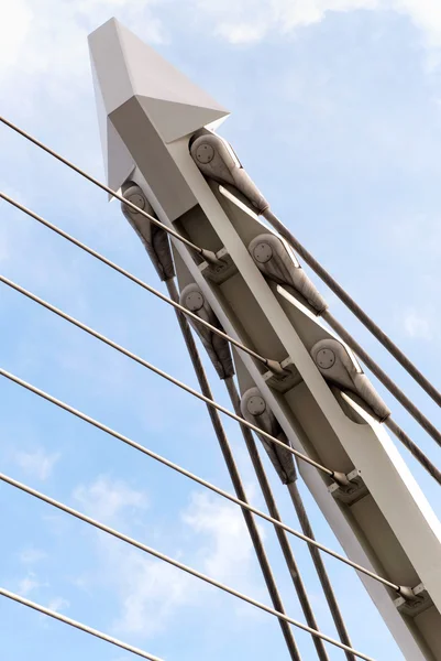 Samuel Beckett Bridge Dublin detay — Stok fotoğraf