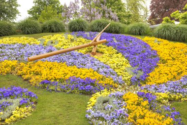 Çiçek saat. Geneva