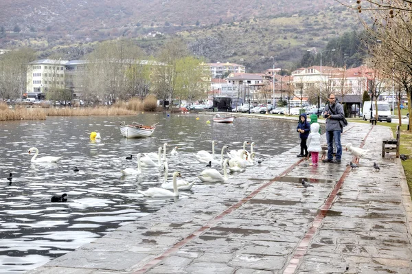 Greece. Lake Orestiada in city Kastoria — Stock Photo, Image