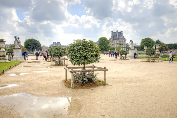 Dans les jardins des Tuileries — Photo