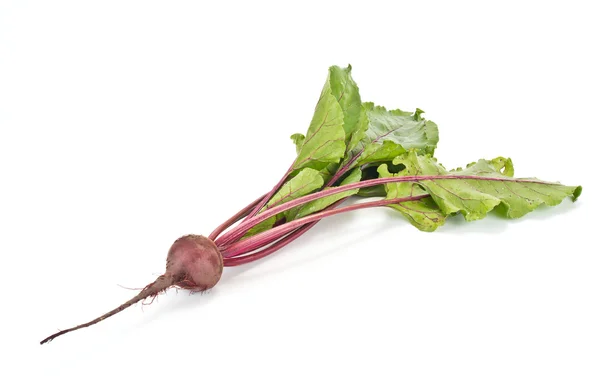 Beet on a white background — Stock Photo, Image