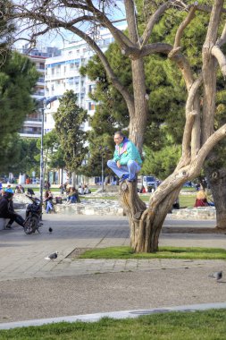 Saloniki. Adam bir ağaç üzerinde