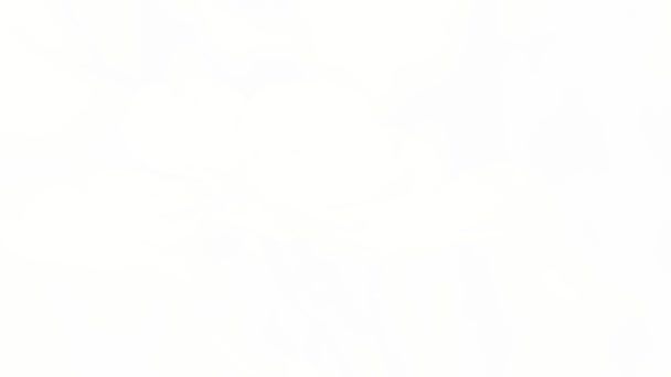 Ручка Рисует Контур Изображения Дурацкое Видео Анимирование Уитни Хьюстон Русское — стоковое видео