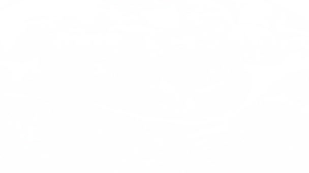 Ручка Рисует Контур Изображения Дурацкое Видео Анимирование Уитни Хьюстон Ягоды — стоковое видео