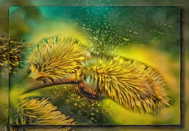 Tuval üzerine yağlı boya. Fotoğraflı resim, resmin taklidi. Sarı çiçekler bir ağaç dalında ilkbaharın başlarında açar. Bokeh, bulanık. Görüntü