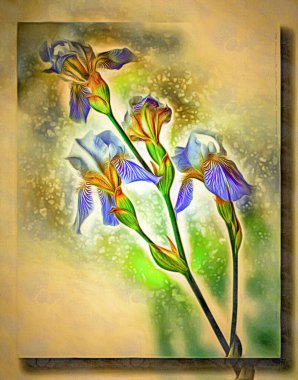 Tuval üzerine yağlı boya. Fotoğraflı resim, resmin taklidi. Plant Iris 'e yakın çekim. Bokeh, bulanık. Görüntü