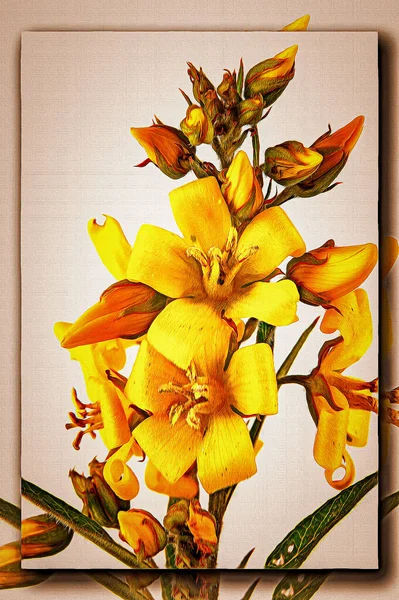 Oil Paint Canvas Picture Photo Imitation Painting Illustration Flowering Plant — Stock Photo, Image