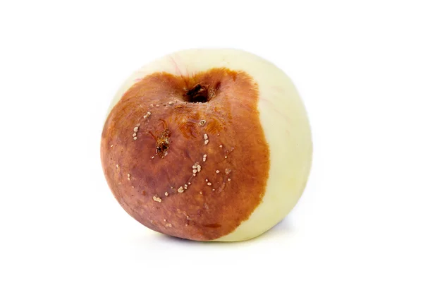 Яблочная гниль — стоковое фото