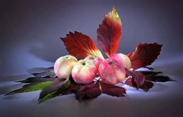 हल्का ब्रश। दाखमधु के सेब और पत्ते — स्टॉक फ़ोटो, इमेज
