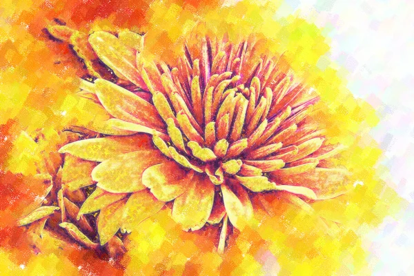 Krysantemum. stiliserade under målning. pastell — Stockfoto