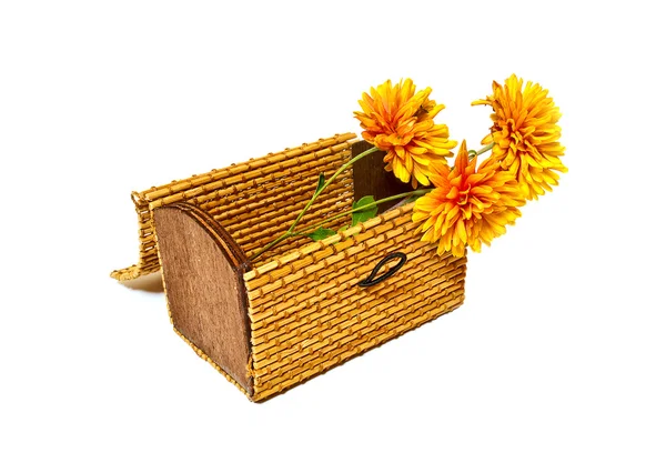 Хризантемы в маленькой коробочке — стоковое фото
