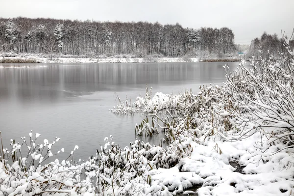 Lake. First snow — Stock Photo, Image
