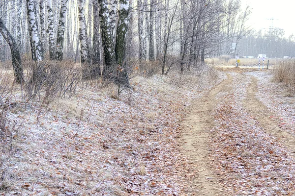 Strada in autunno — Foto Stock