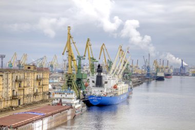 liman şehri saint Petersburg