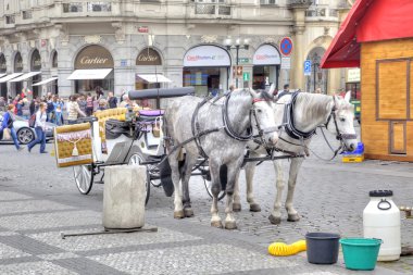Atınız var bir dinlenme