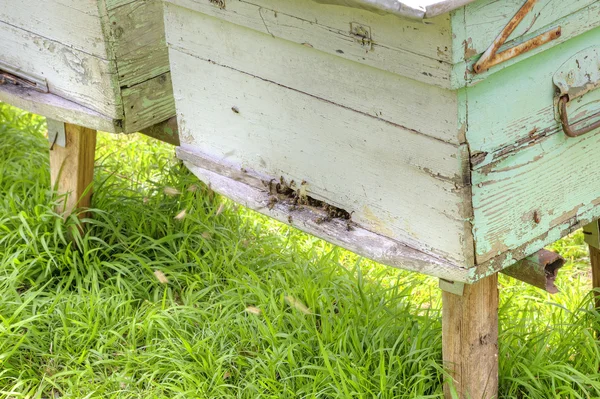 Alpine apiary — Stock Photo, Image