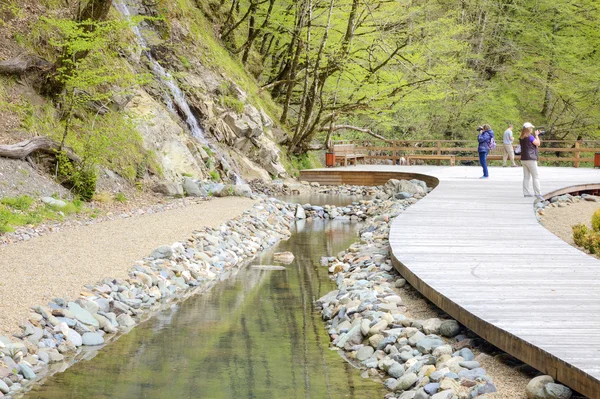 Sochi. En lösning är Krasnaya Polyana. Vattenfall — Stockfoto