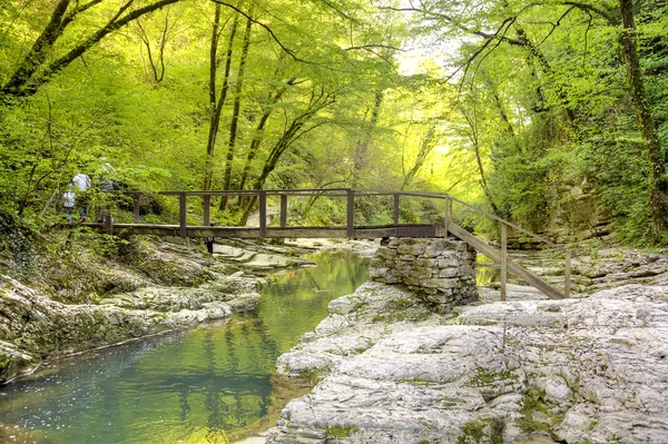 Caucasus. Sotsji. Rivier Agura — Stockfoto