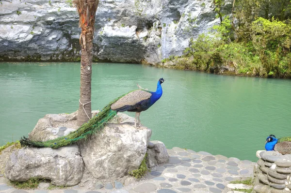 Lac des Yeux de vieillard aux yeux bleus — Photo