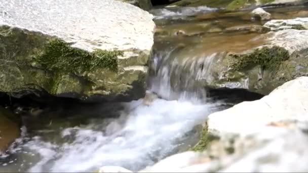 Kaukasus. Sotschi. Flussagura — Stockvideo