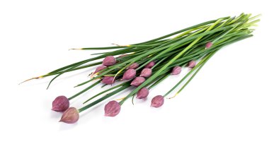 Allium fistulosum, Galli soğan ya da Japon bunching soğan, o
