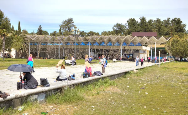 Abhazya. Resort Pitsunda