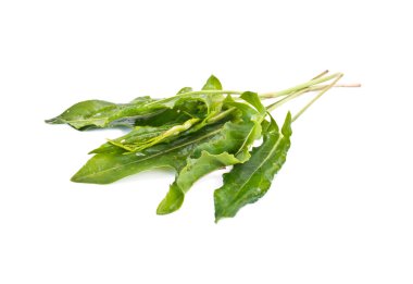 Kuzukulağı ekşi