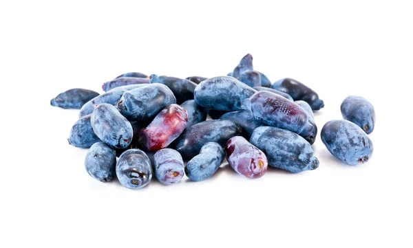Berries honeysuckle — Stock Photo, Image