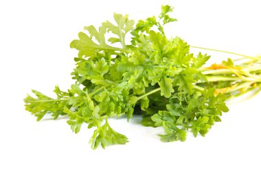 Garden cress