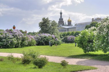 Saint Petersburg. Field of Mars 
