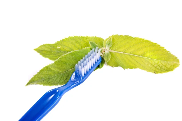 Cepillo de dientes y hojas de menta —  Fotos de Stock