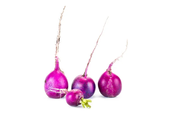 Violet radish — Stock Photo, Image