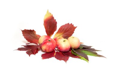 Elma ve Asma yaprakları