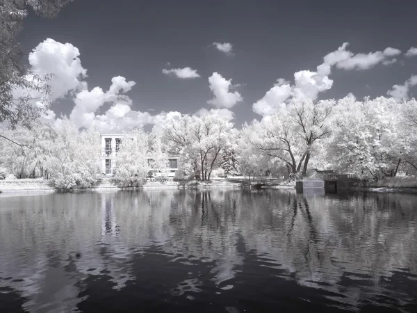 On territory of the Exhibition complex. Infrared Photography — Stock Photo, Image